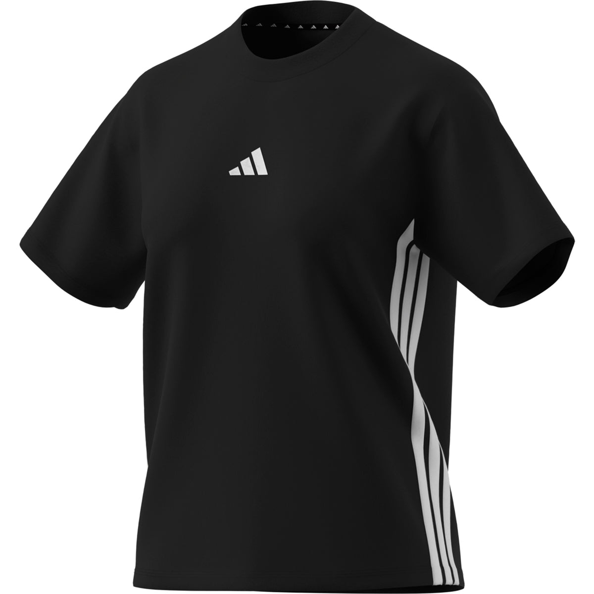 W 3S Sj T