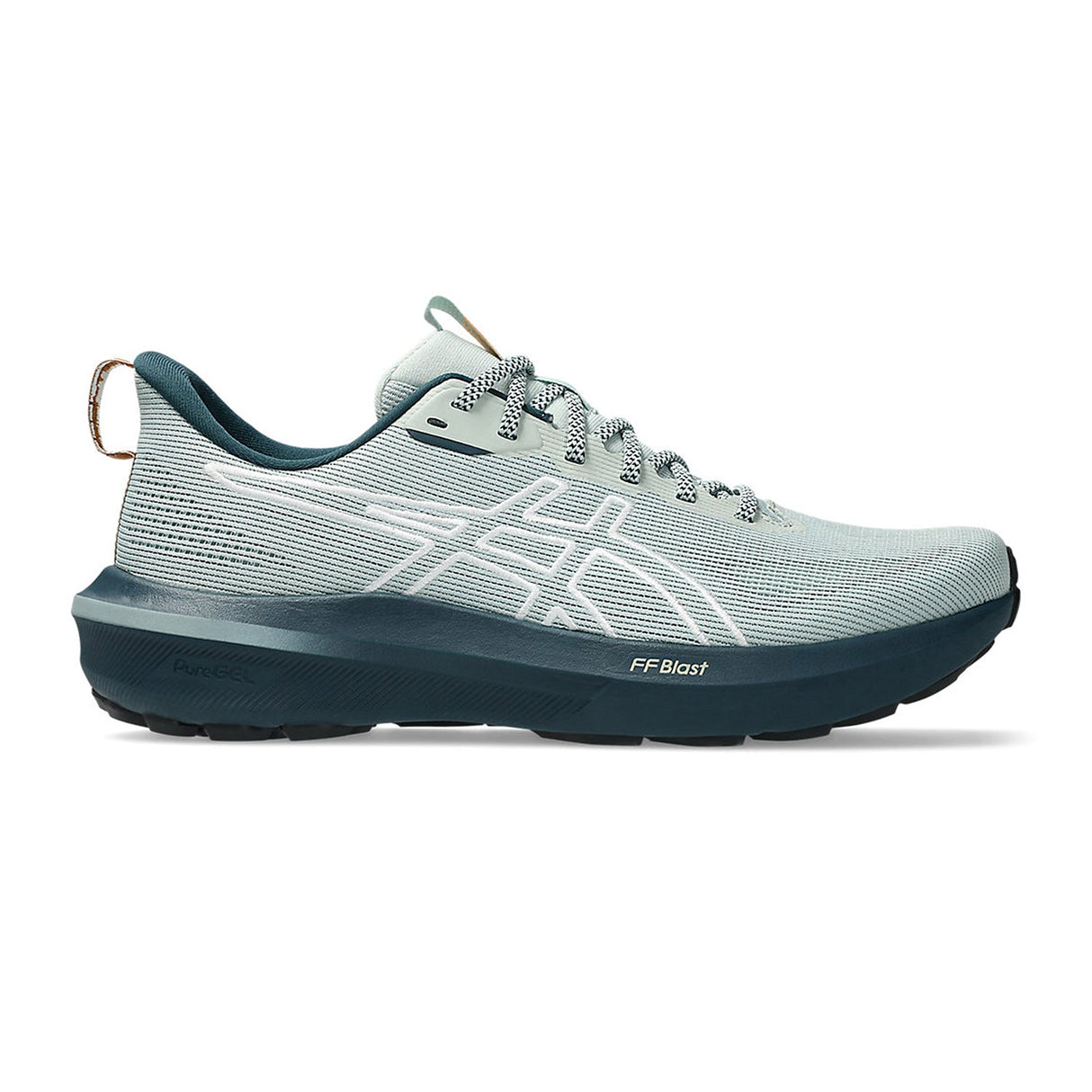 Asics Men Grey GT-1000 14 TR Shoes