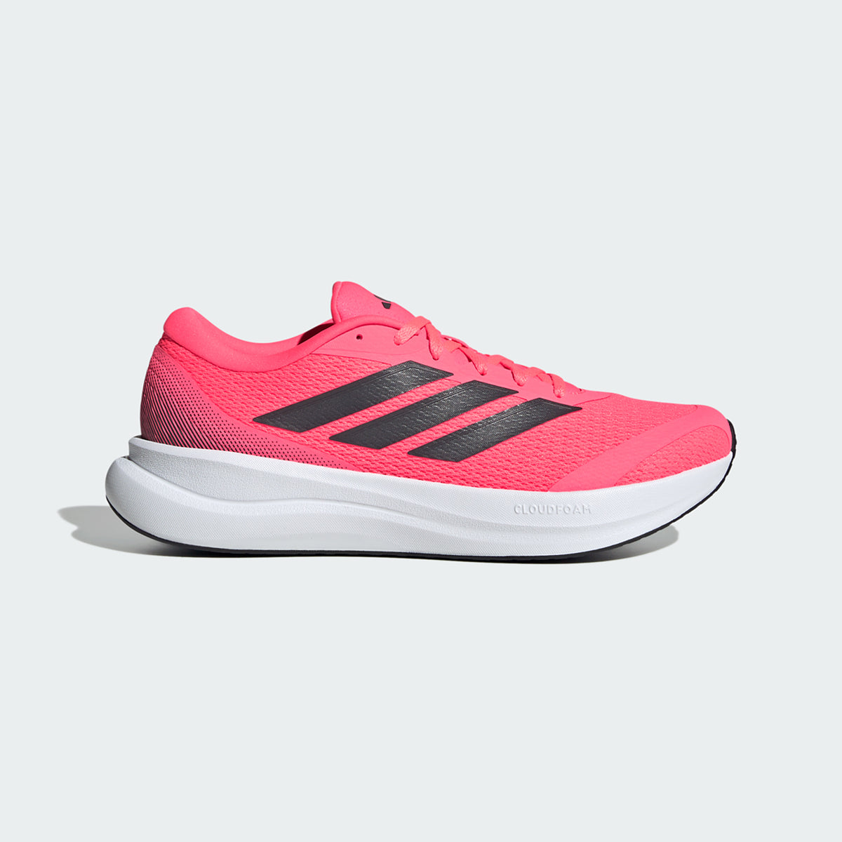 Runfalcon 6