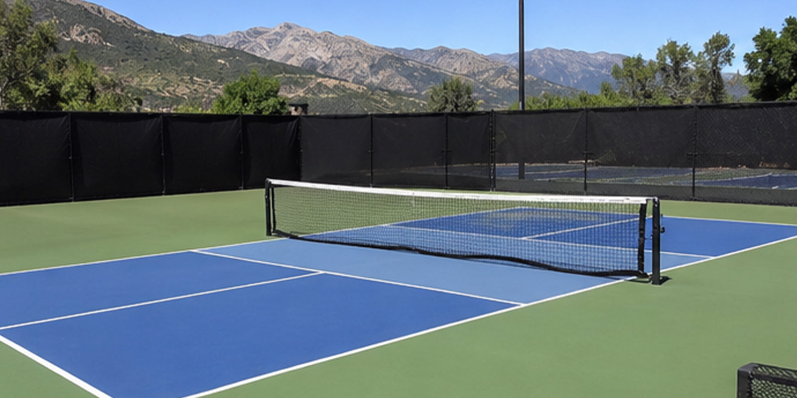 Pickleball Court Size & Dimensions Guide