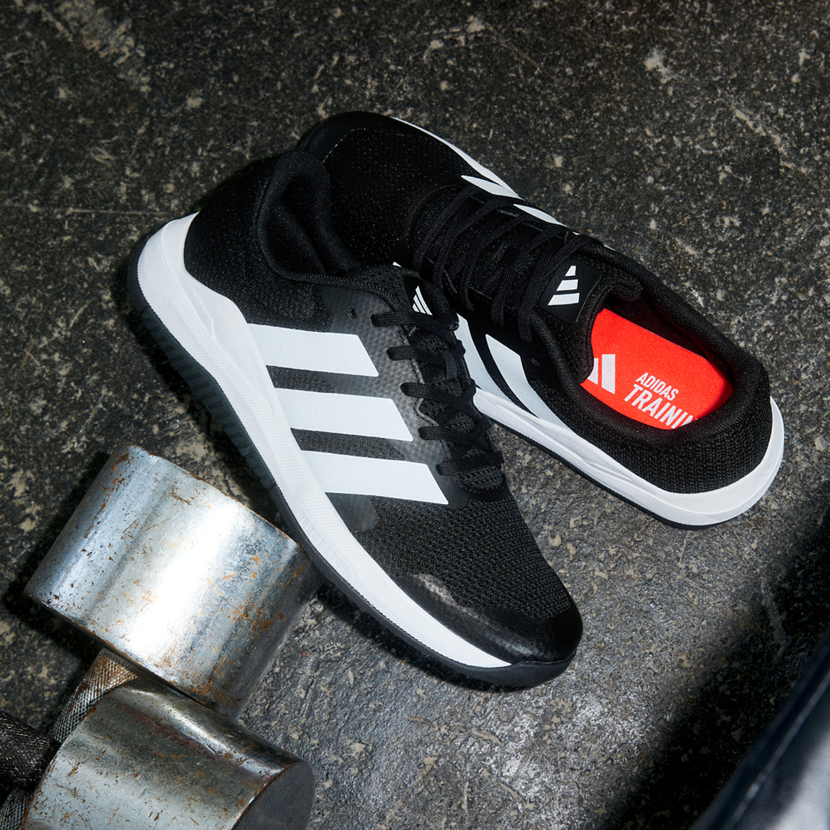 Dropset  Base Trainer M