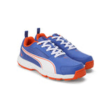 Puma Men Cricket High Run Shoes