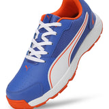 Puma Men Cricket High Run Shoes